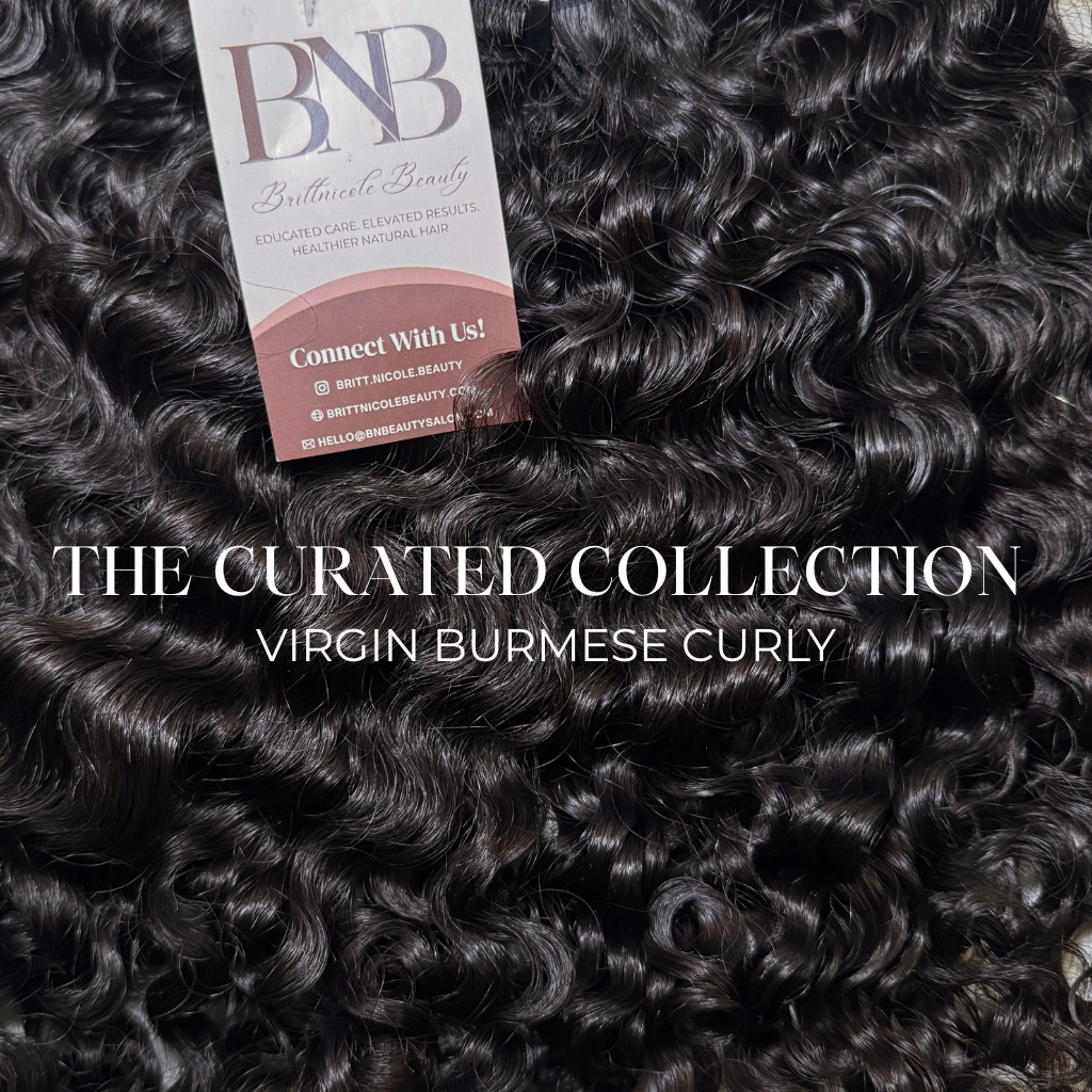 Virgin Burmese Curly