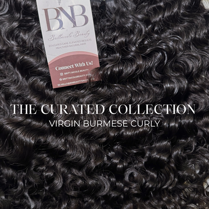 Virgin Burmese Curly