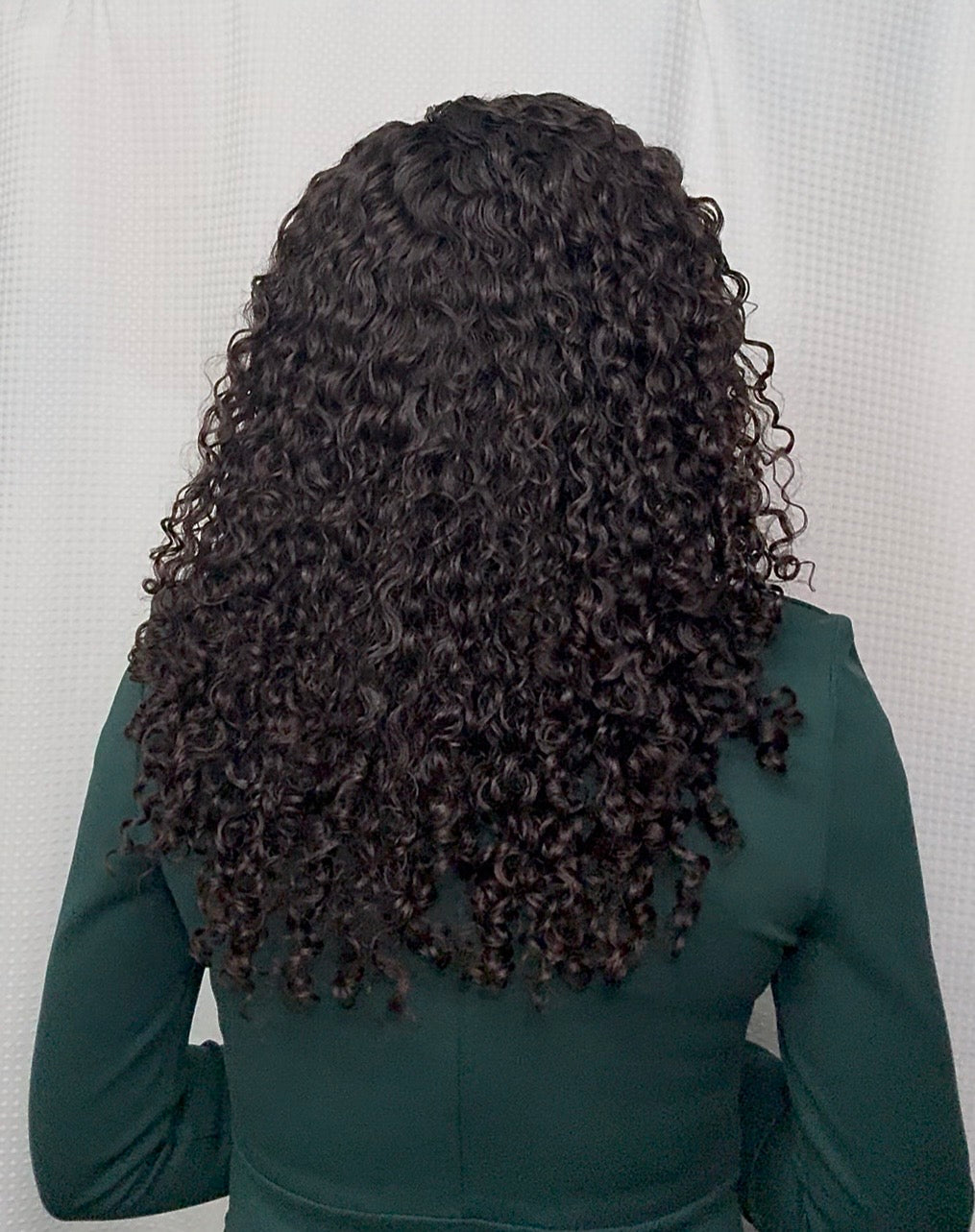 Virgin Burmese Curly
